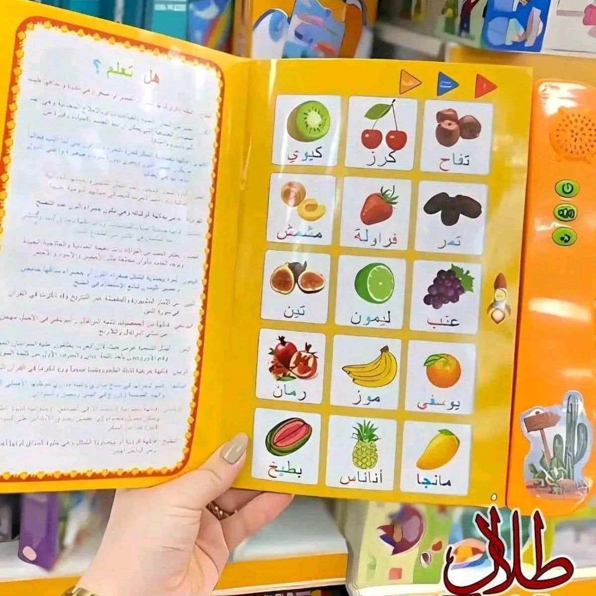 الكتاب الالكتروني للمفردات
